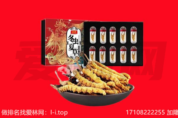 邯郸市魏市回收虫草.jpg